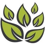 Mental Health and Wellbeing in Teacher Education University of Cumbria